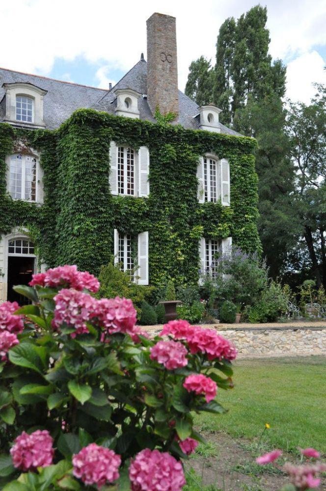 La Marronniere Hotell Cheffes-sur-Sarthe Eksteriør bilde